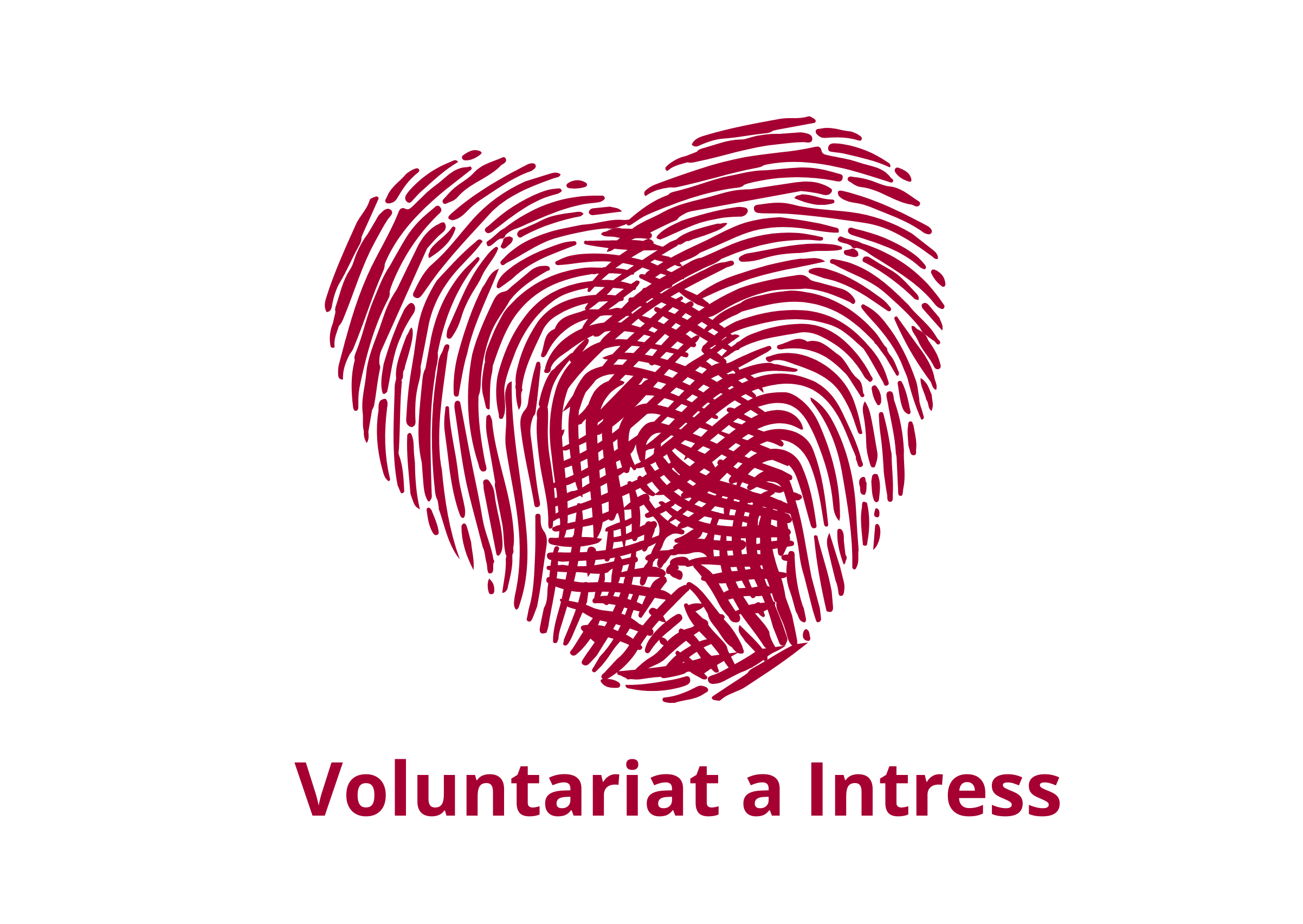 Voluntariado-en-Intress-1
