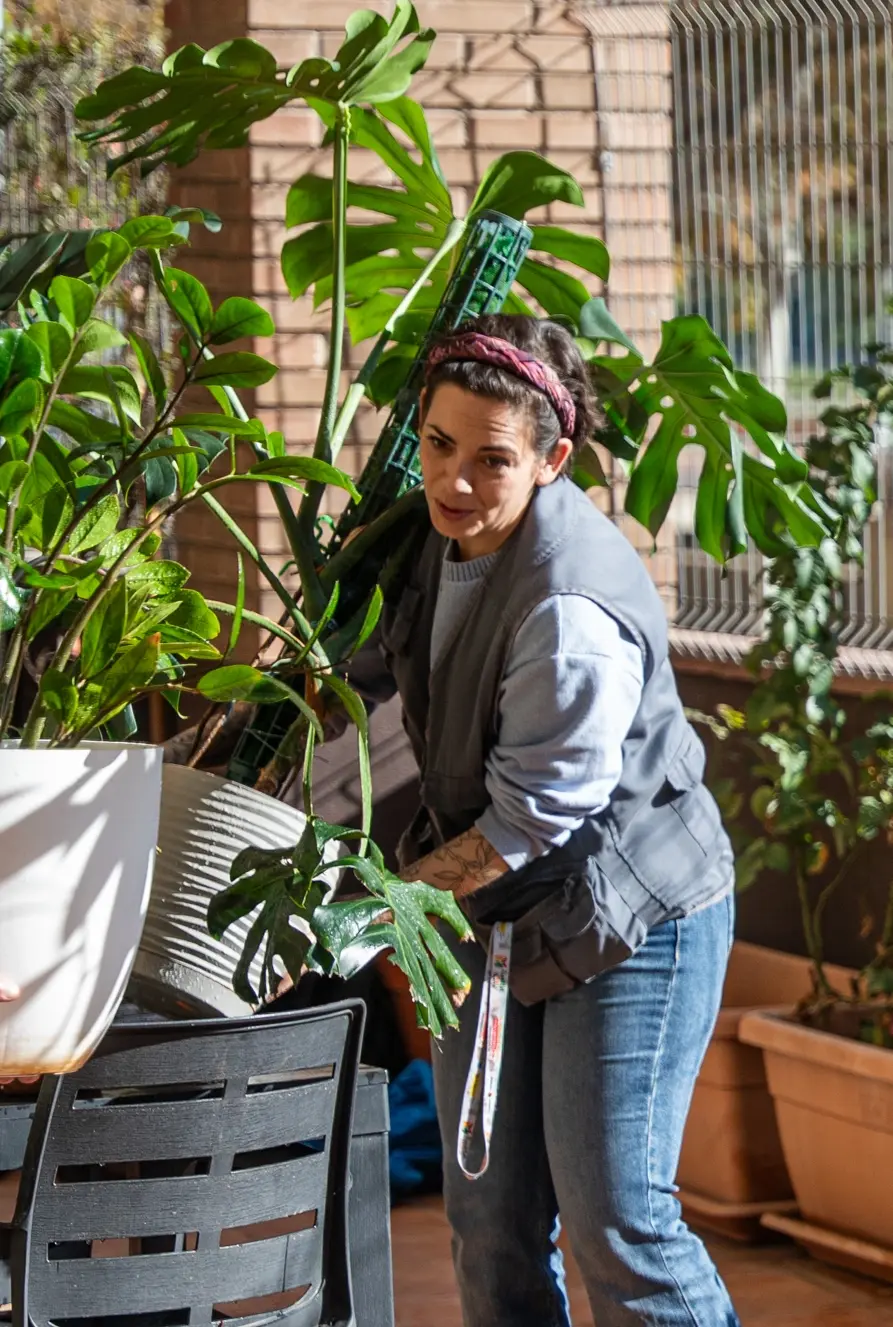 1c27a4ac-95da-4656-ae48-2691d49f4f7c