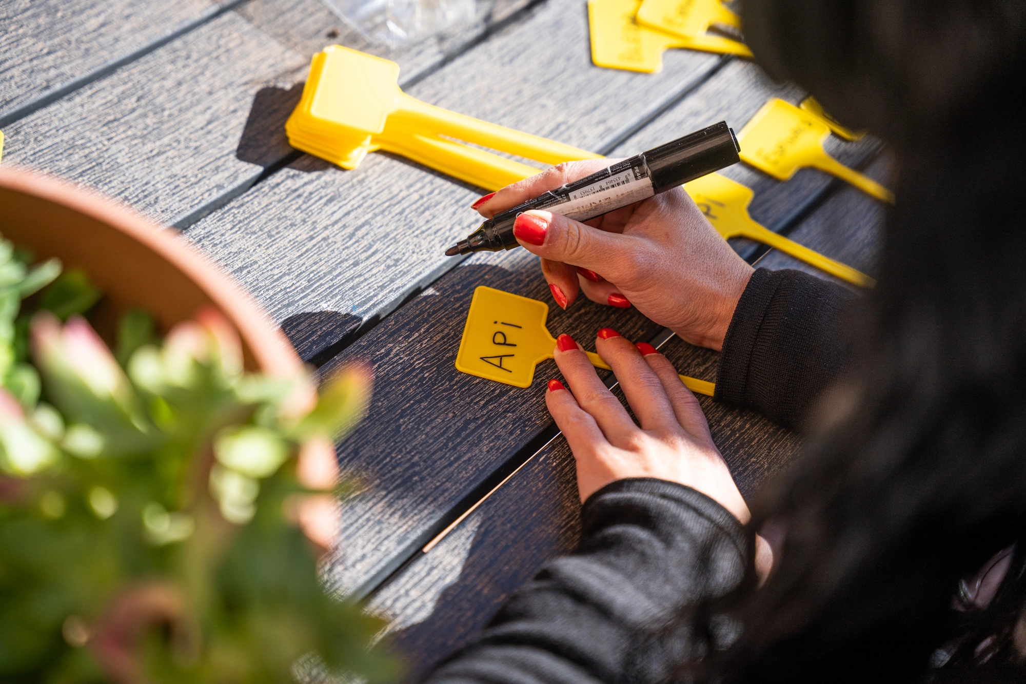 c35d4383-968a-4cb4-861c-0c415b6e356a