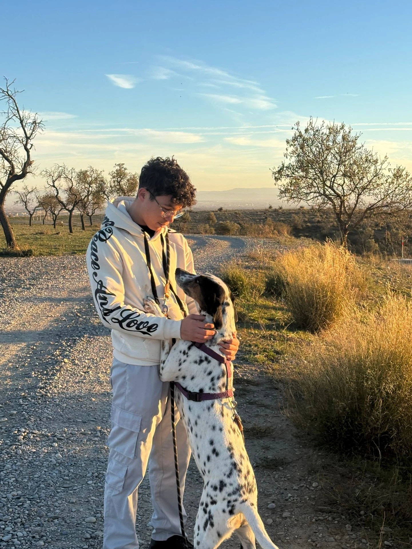 0254f81e-fb60-4e34-854a-3c930913606c