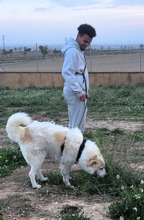 b43c8070-90a1-4e42-8e0f-e13b1d243df1